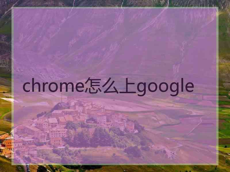 chrome怎么上google