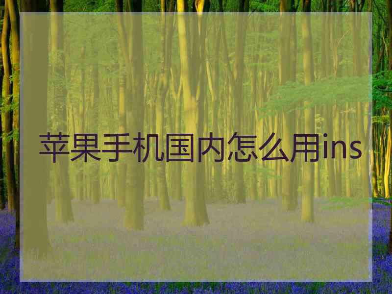 苹果手机国内怎么用ins