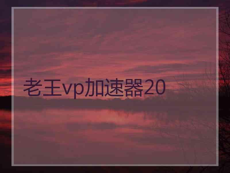 老王vp加速器20