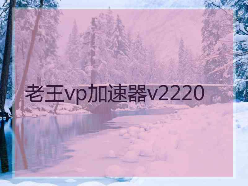 老王vp加速器v2220