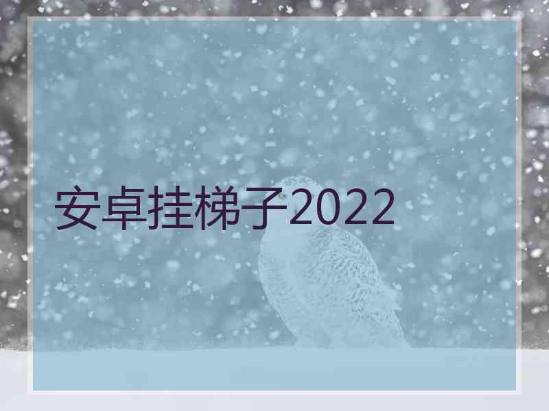 安卓挂梯子2022