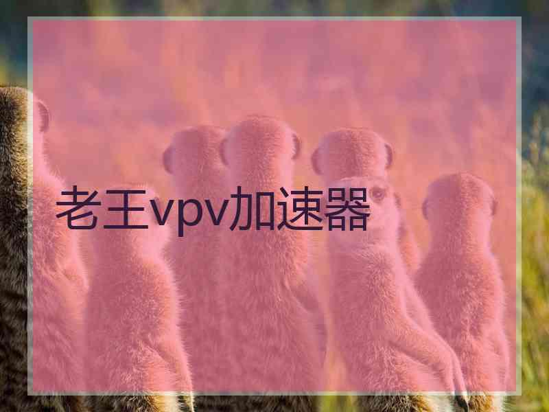 老王vpv加速器