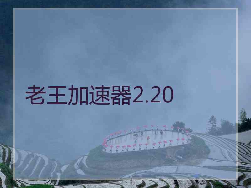 老王加速器2.20