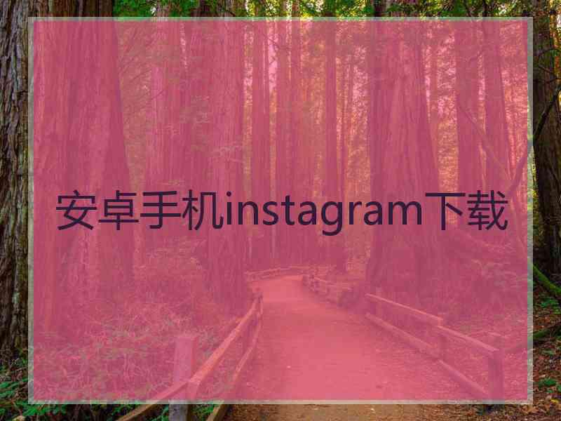 安卓手机instagram下载