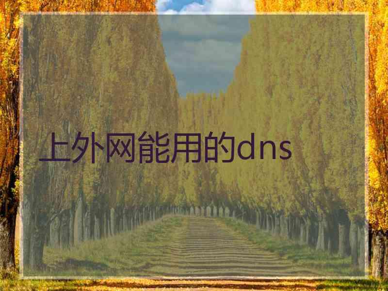 上外网能用的dns