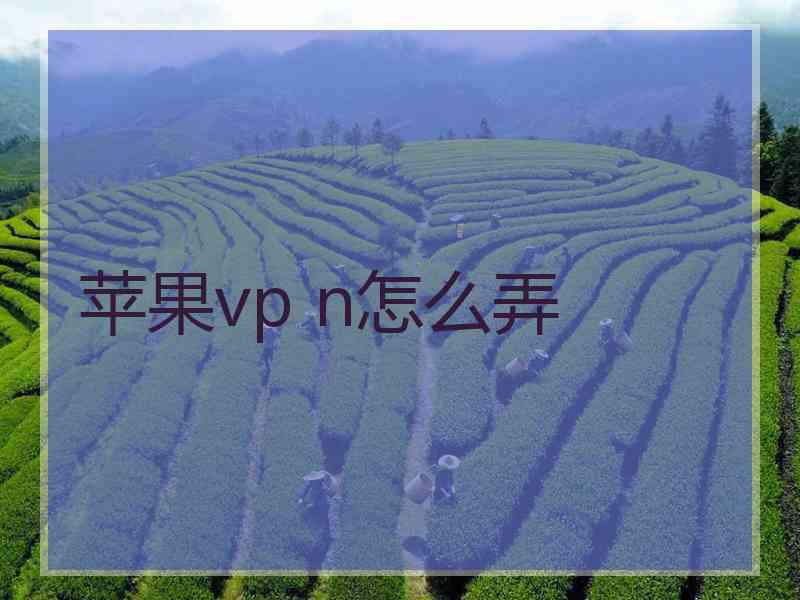 苹果vp n怎么弄