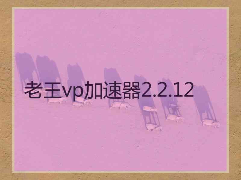 老王vp加速器2.2.12