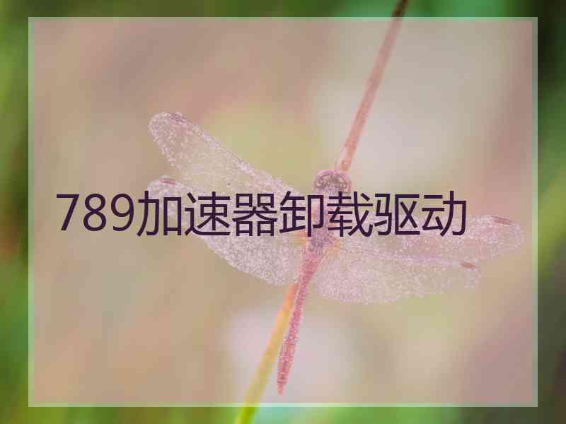 789加速器卸载驱动