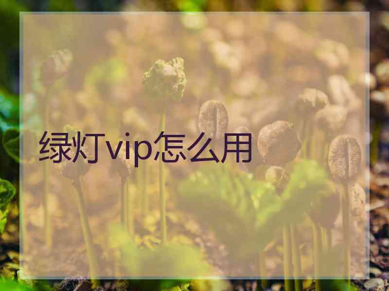 绿灯vip怎么用