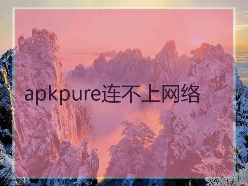 apkpure连不上网络