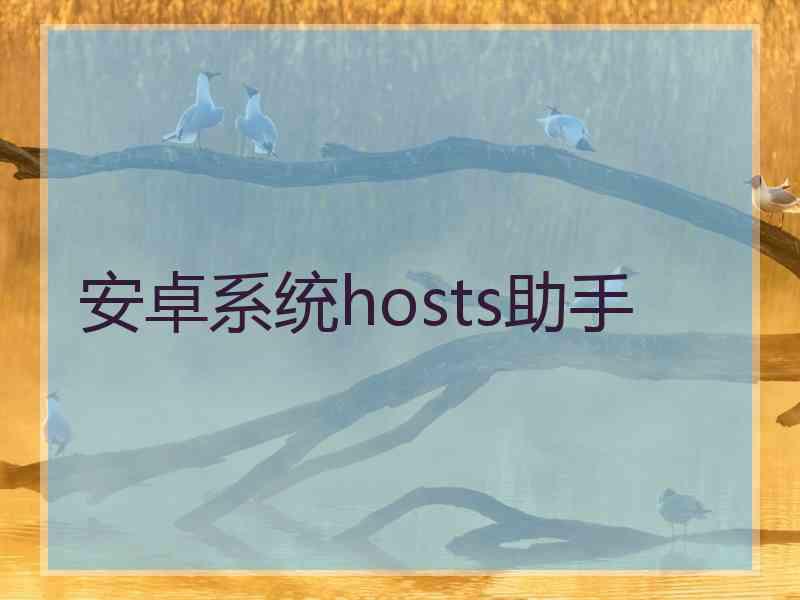 安卓系统hosts助手