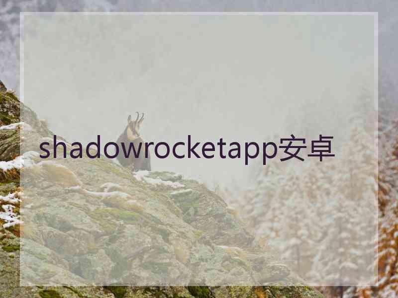 shadowrocketapp安卓