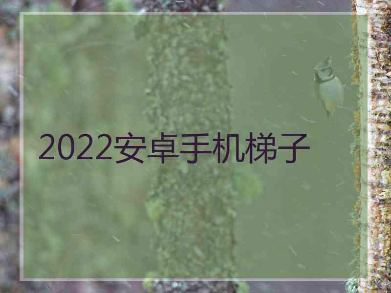 2022安卓手机梯子