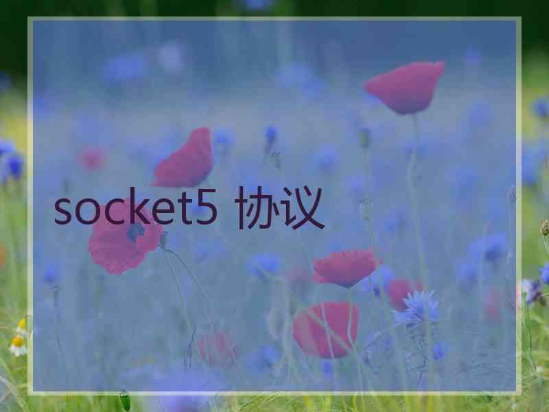 socket5 协议