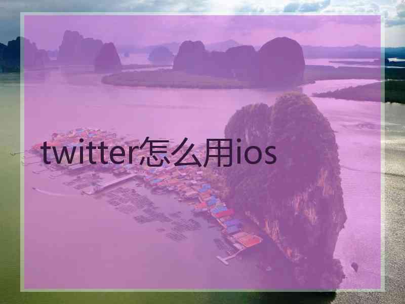 twitter怎么用ios