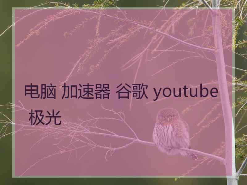 电脑 加速器 谷歌 youtube 极光