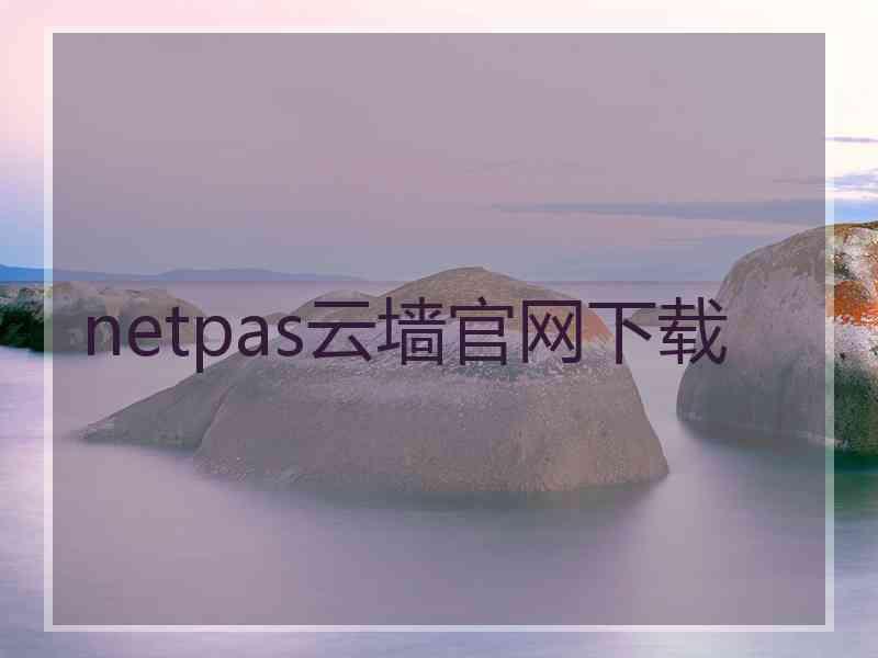 netpas云墙官网下载