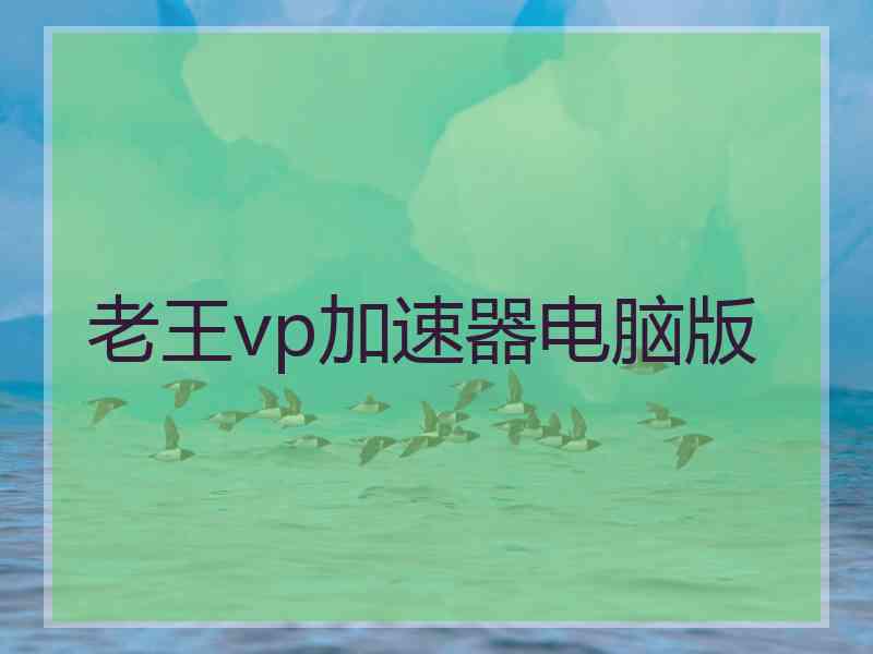 老王vp加速器电脑版