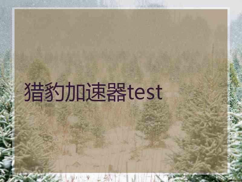 猎豹加速器test