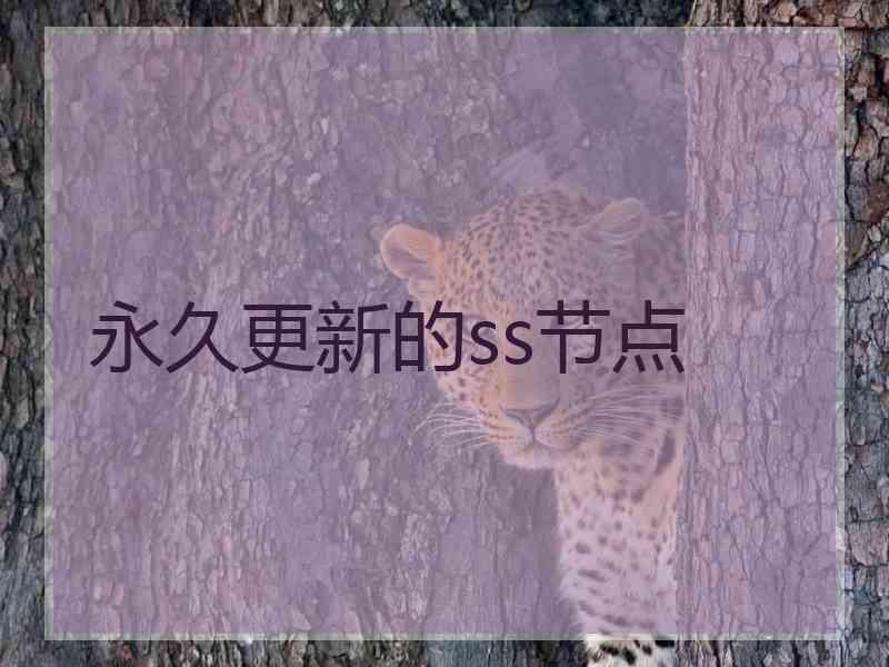 永久更新的ss节点