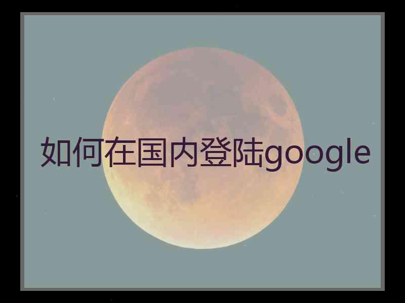 如何在国内登陆google