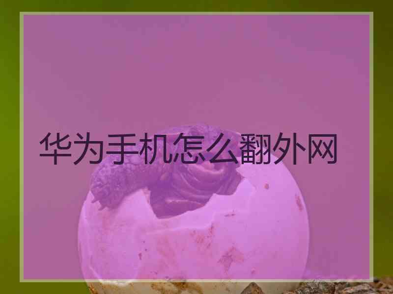 华为手机怎么翻外网