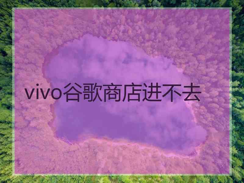 vivo谷歌商店进不去