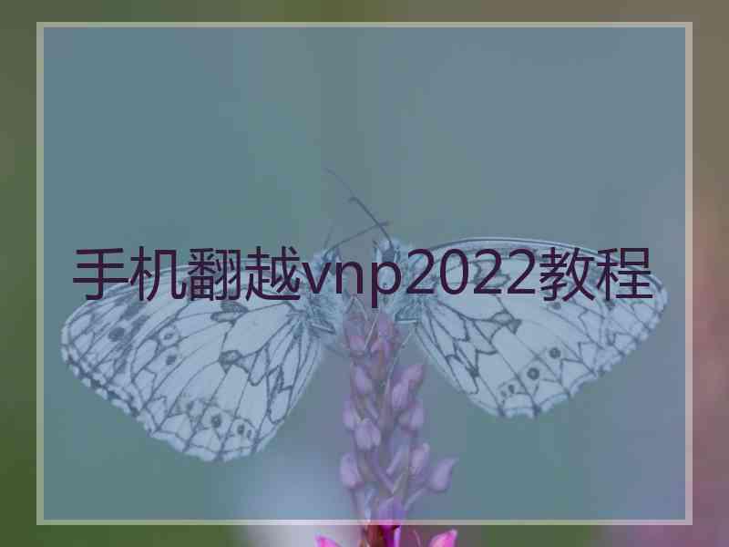 手机翻越vnp2022教程