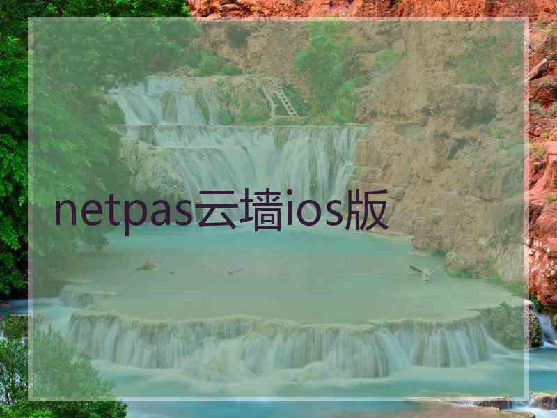 netpas云墙ios版