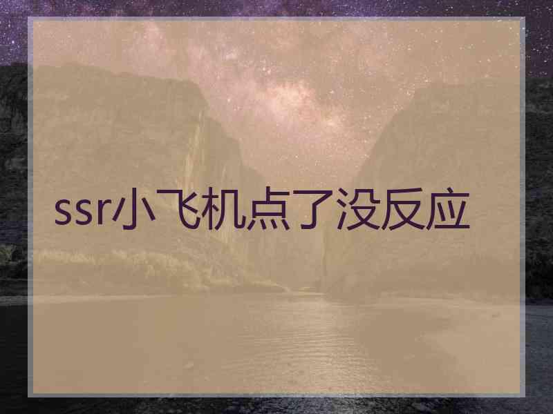 ssr小飞机点了没反应