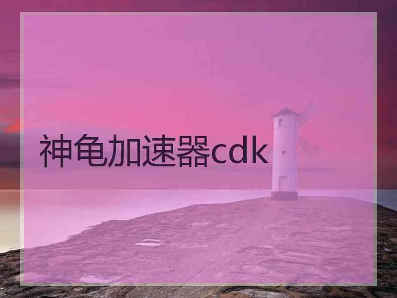 神龟加速器cdk