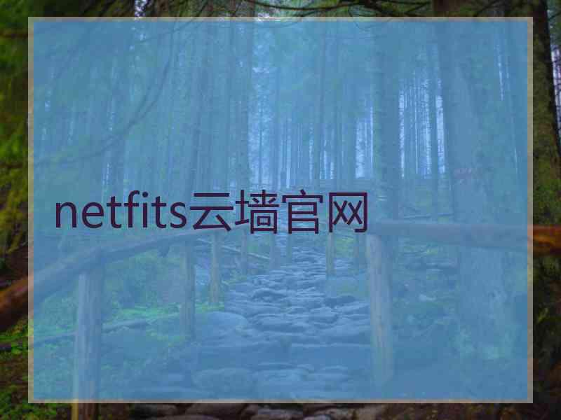 netfits云墙官网