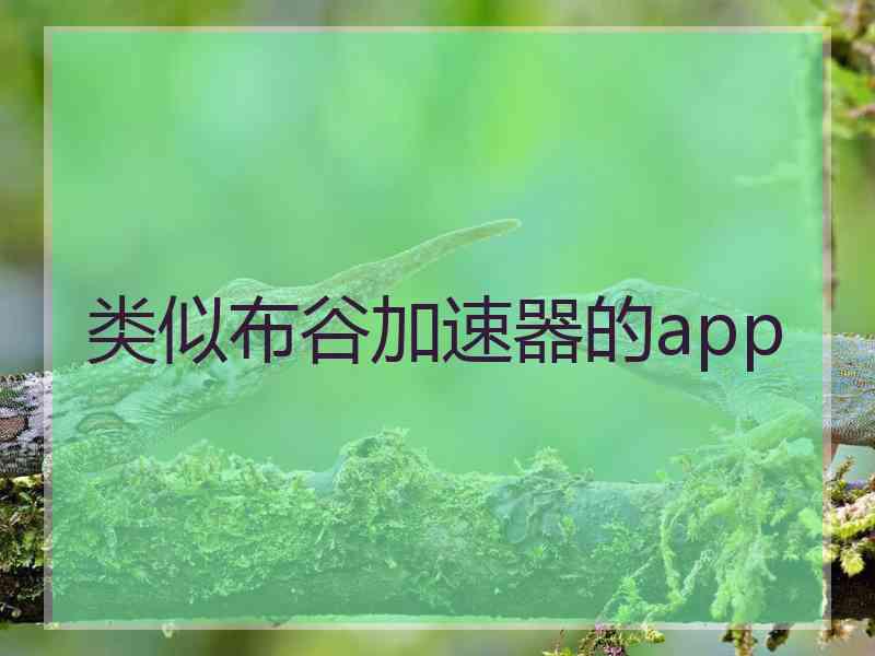 类似布谷加速器的app