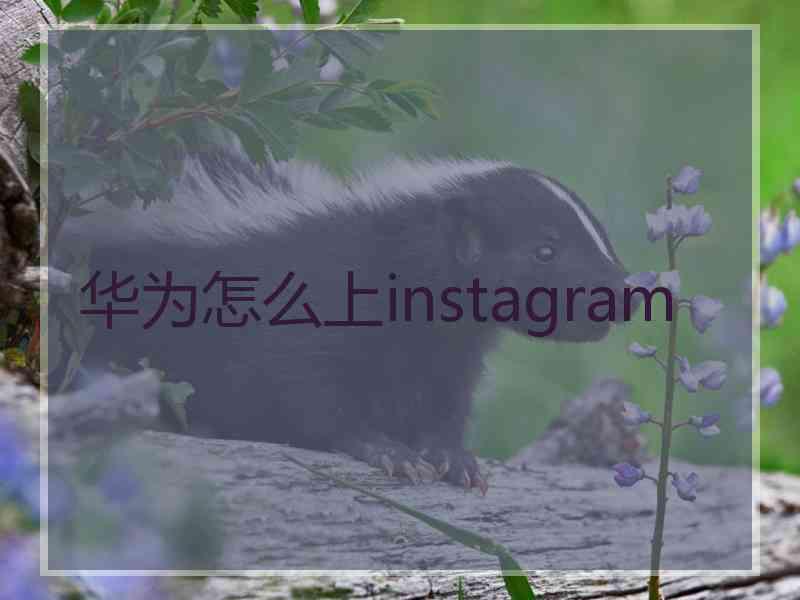 华为怎么上instagram