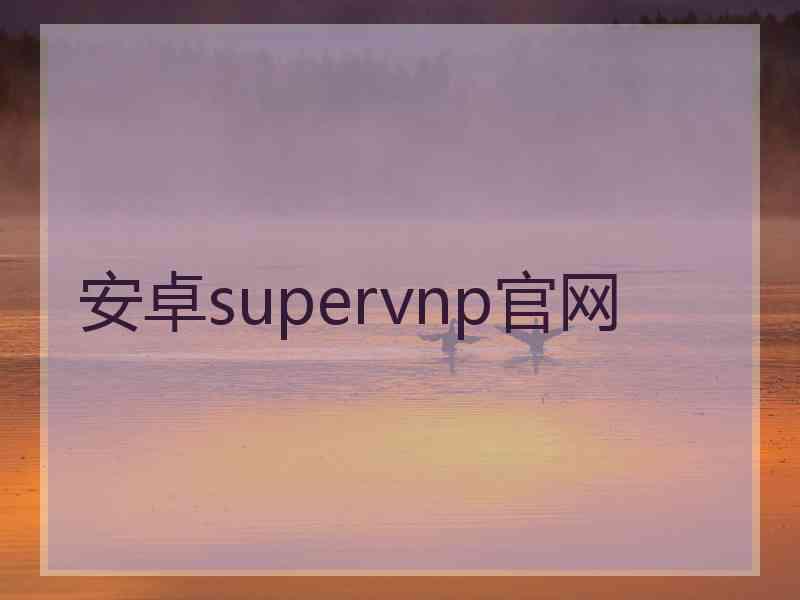 安卓supervnp官网