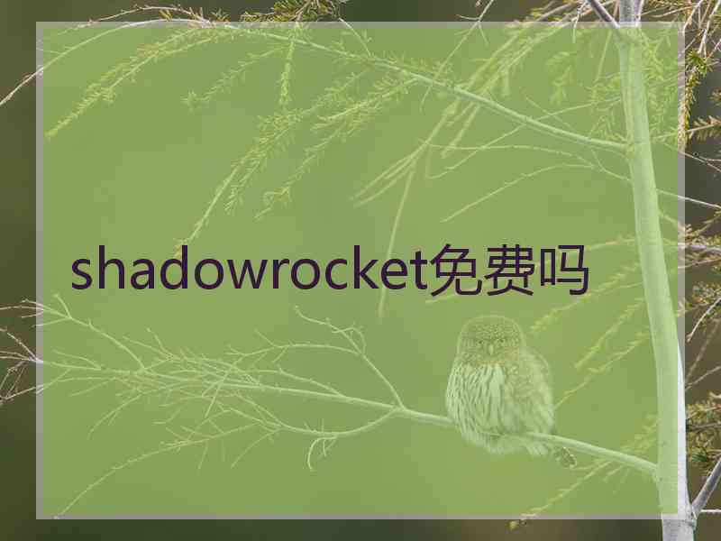 shadowrocket免费吗