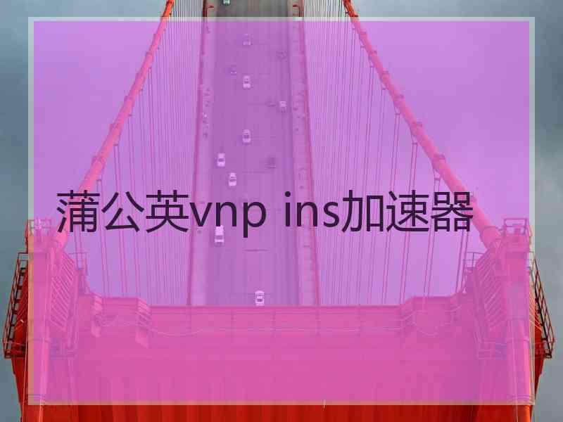 蒲公英vnp ins加速器