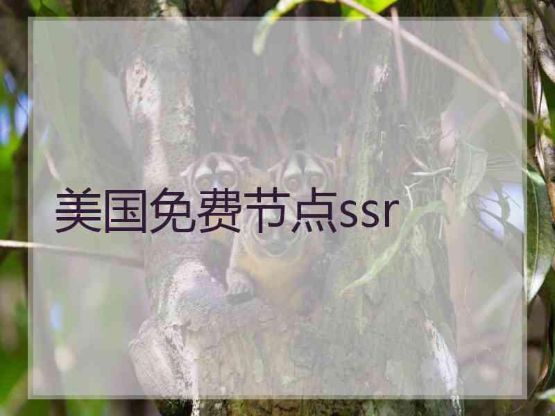 美国免费节点ssr