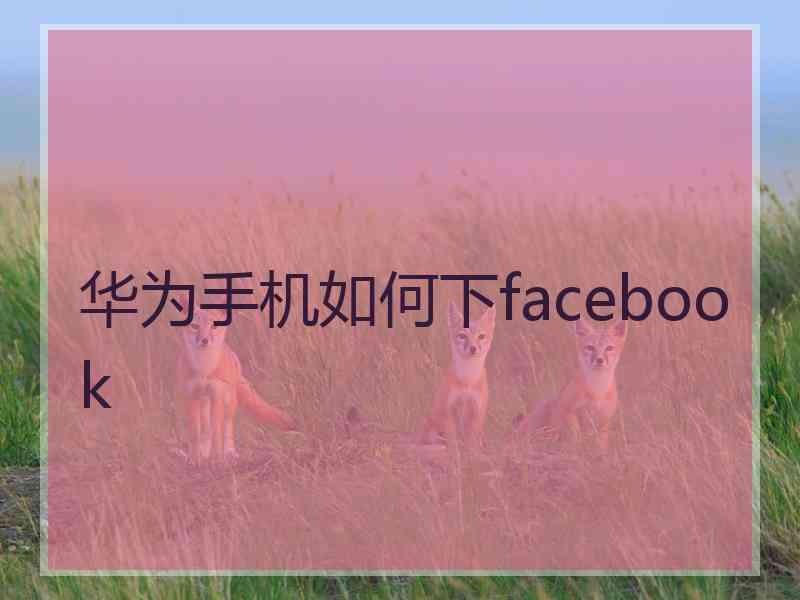 华为手机如何下facebook