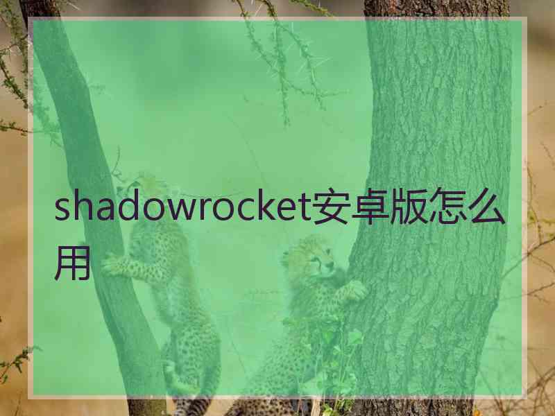 shadowrocket安卓版怎么用