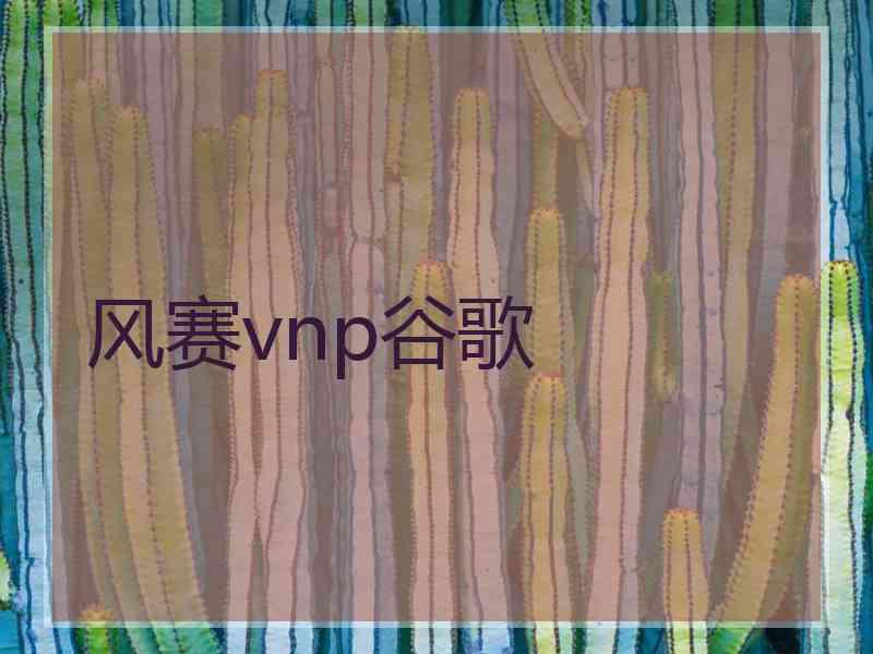 风赛vnp谷歌