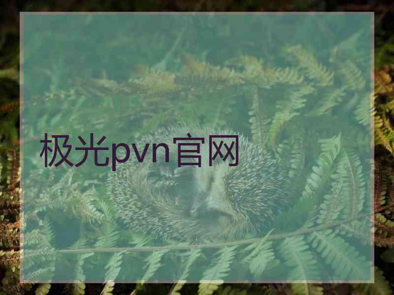 极光pvn官网