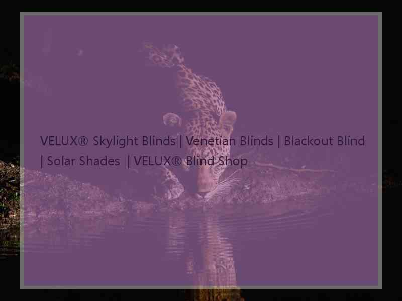 VELUX® Skylight Blinds | Venetian Blinds | Blackout Blind | Solar Shades  | VELUX® Blind Shop