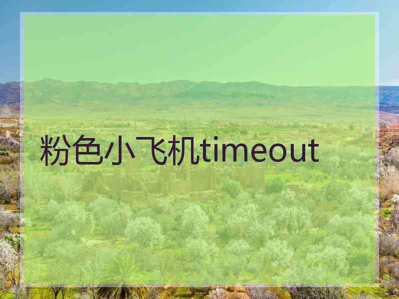 粉色小飞机timeout