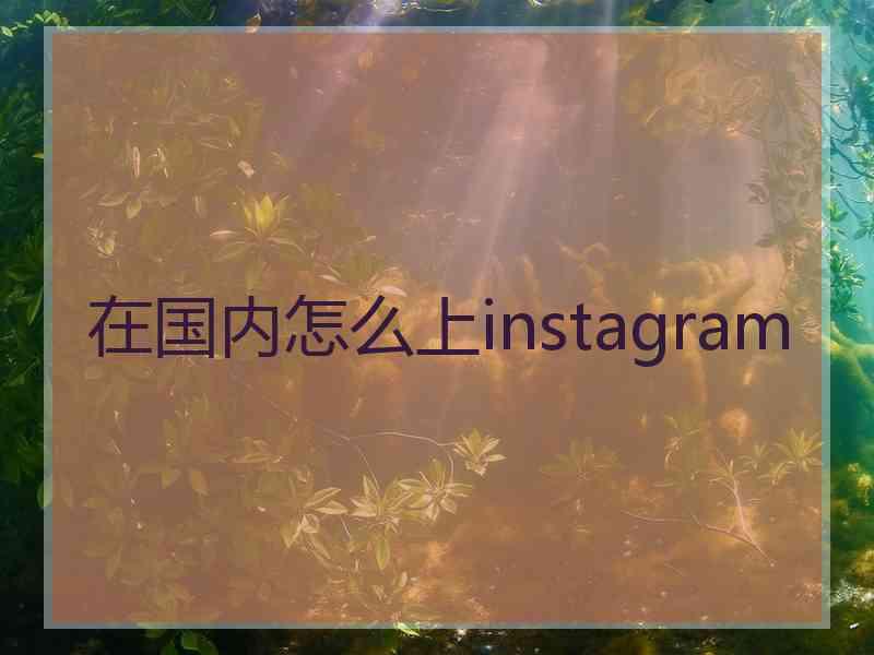 在国内怎么上instagram