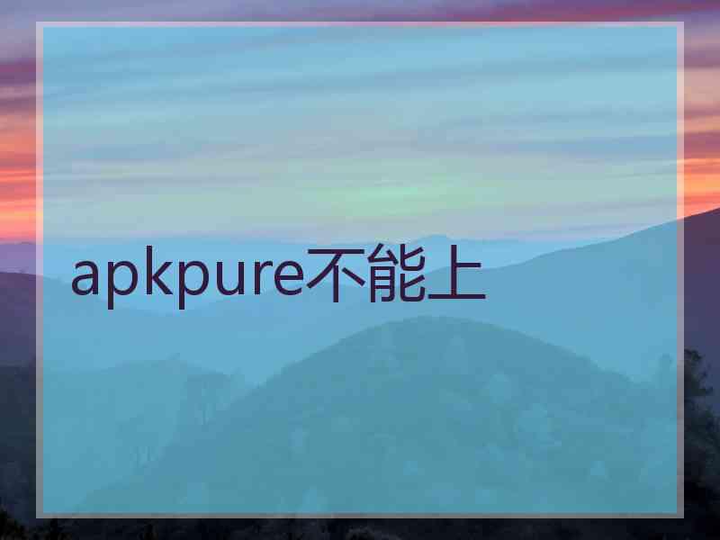 apkpure不能上