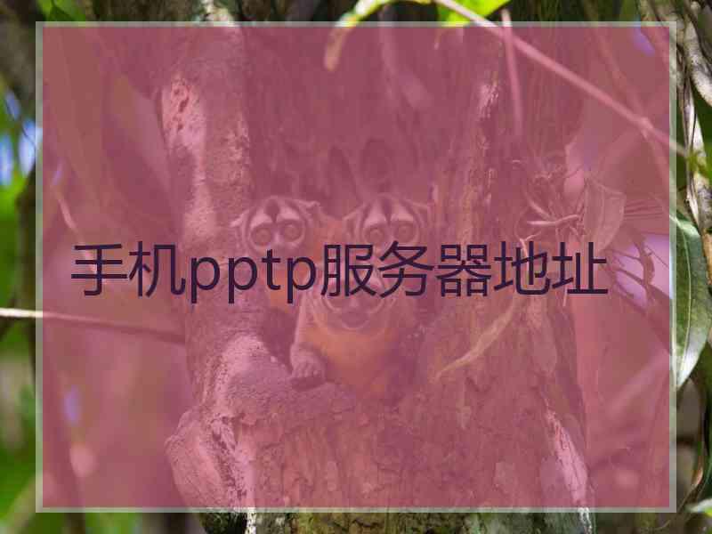 手机pptp服务器地址