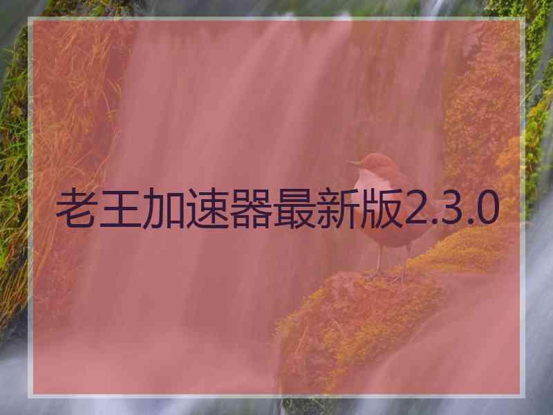 老王加速器最新版2.3.0