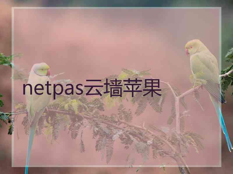 netpas云墙苹果