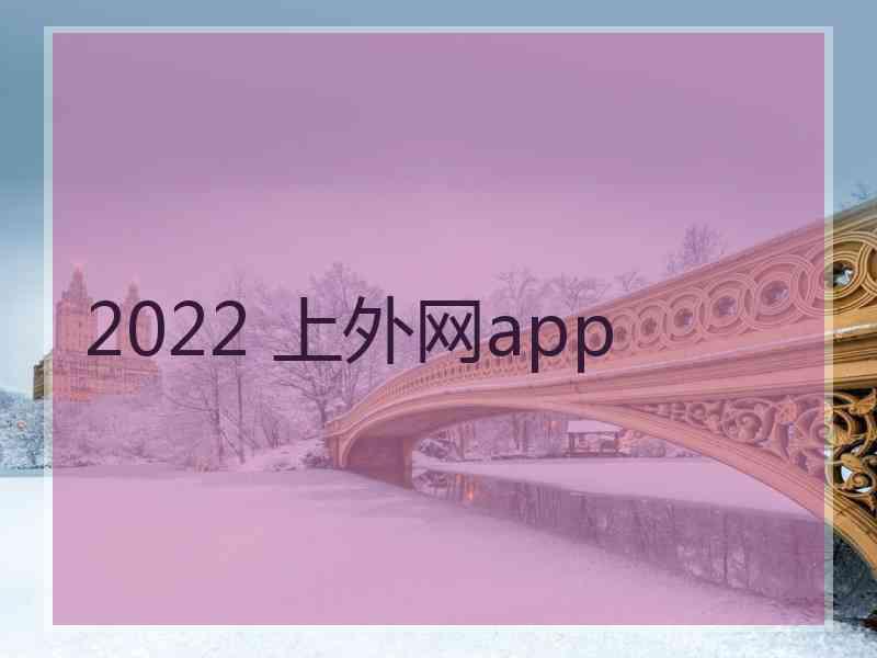 2022 上外网app